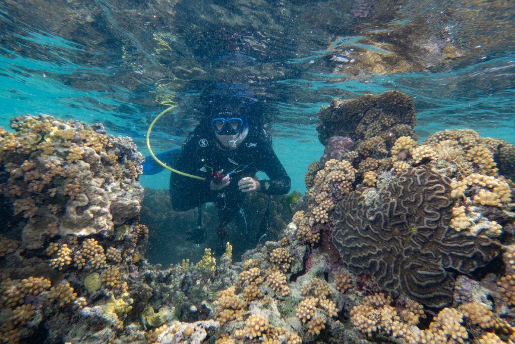 Surveying amoung the corals; By John Turnbull